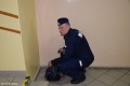 Ewakuacja SP Naruszewo_Na ratunek_20.05 (10)