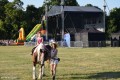 Festyn Rodzinny w Krysku_24.08 (182)
