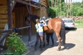 Zawody TREC_12_13 (2)