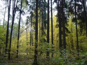 Gminne pejzaże - Srebrna (14)