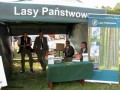 I Festiwal Sołectw_14.09.2014r. (104)