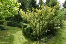 Ogrody_Sarzała_2020 (23)