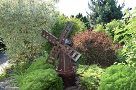 Ogródek_Jabłoński_2021 (2)