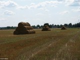 Gminne pejzaże - Skwary (3)