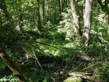 Obszary_i_obiekty_chronione_015