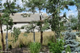 Ogrody_Krysiewicz_2020 (19)