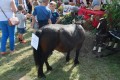 Festiwal Sołectw_priv_14.09.2014r. (3)