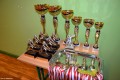Międzyszkolny turniej piłki siatkowej_2016 (96)