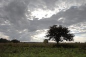 Jesień - Tomasz Zawadzki