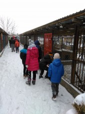 Zbiórka karmy_ZS Nacpolsk (16)