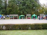 IV Jesienny Jarmark Od pola do stołu (17)