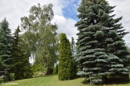 Ogrody_Sarzała_2020 (48)