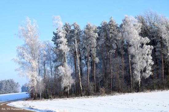 Zima_szron_16_02_2021 (37)