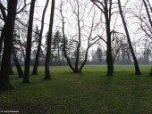 Gminne pejzaże - Nacpolsk (10)