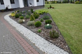 Ogrody_Wiśniewska_2020 (1)