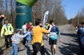 II Bieg Wiosny - TUSTAŃ 02.04.2017 (44)