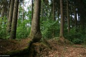 Gminne pejzaże - Srebrna (3)