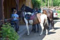 Zawody TREC_12_13 (25)