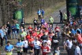 IV Bieg Wiosny_2019 (103)