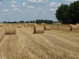Gminne pejzaże - Skwary (5)