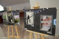 Wystawa_23.01 (33)