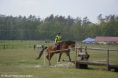 Zawody TREC PTTK_12.05 (8)