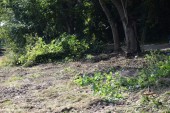 Wodociąg_Krysk_15_09_2021 (6)