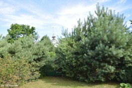 Ogródek_Grzegorek_2020 (12)