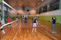 Międzyszkolny turniej piłki siatkowej_2016 (15)