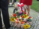 Dożynki parafialne w Radzyminie oraz wręczenie sztandaru OSP Radzymin_2010_011