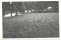 Gmina Naruszewo na starych fotografiach (46)