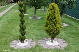 Ogrody_Piekut_2020 (35)