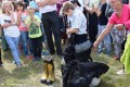Zawody strażackie_2016 (293)