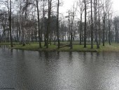 Gminne pejzaże - Nacpolsk (9)