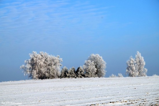 Zima_szron_16_02_2021 (34)