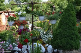 Ogródek_Krajewska_2021 (8)