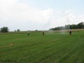 Zawody sportowo_pożarnicze_06.07.2014r. (90)