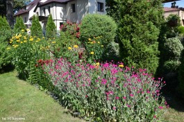 Ogródek_Śmietanowska_2021 (5)