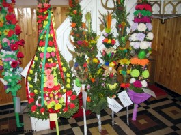 Ocena palm_2015 (7)