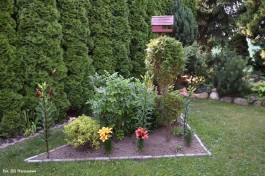 Ogródek_Jabłoński_2021 (11)