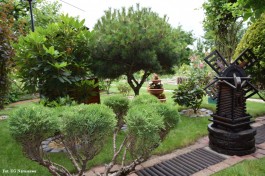 Ogrody_Piekut_2020 (19)