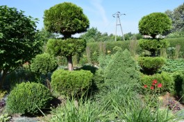 Ogródek_Kuźniewski_2021 (21)
