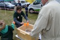 Mazowieckie Dni Rolnictwa 2016 (68)