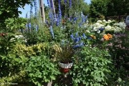 Ogrody_Obojska_2020 (6)