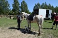 Zawody TREC_12_13 (32)