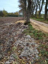 Wodociąg_Krysk_18_10_2021 (6)