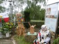 Dożynki w Naruszewie_v (37)