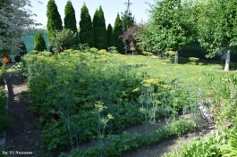 Ogródek_Jabłoński_2021 (4)