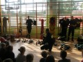 Akcja edukacyjna_25.09.2014r. (34)