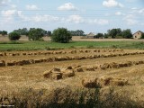Gminne pejzaże - Skwary (1)